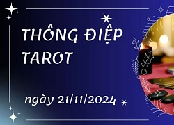 Thông điệp Tarot ngày 21/11/2024 cho 12 cung hoàng đạo: Cự Giải bốc lá Knight of Cups, Ma Kết bốc lá Six of Pentacles ngược