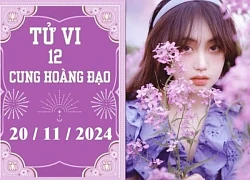 Tử vi 12 cung hoàng đạo ngày 20/11: Song Tử khó khăn, Xử Nữ phát triển