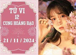 Tử vi 12 cung hoàng đạo ngày 21/11: Kim Ngưu ổn định, Ma Kết nóng vội