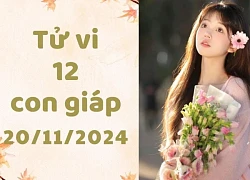 Tử vi ngày mới 12 con giáp ngày 20/11/2024: Tỵ truyền cảm hứng, Hợi lạnh nhạt