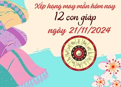 Xếp hạng may mắn ngày mới của 12 con giáp ngày 21/11/2024: Tuổi Dậu cực may mắn