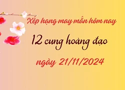 Xếp hạng may mắn ngày mới của 12 cung hoàng đạo 21/11/2024: Cung Song Tử có vận may cực tốt