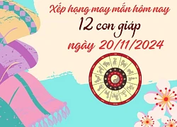 Xếp hạng may mắn trong tử vi 12 con giáp ngày 20/11/2024: 3 con giáp có vận may tốt nhất