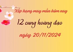 Xếp hạng may mắn trong tử vi 12 cung hoàng đạo 20/11/2024: Có 3 cung may mắn nhất