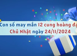 Con số may mắn 12 cung hoàng đạo hôm nay ngày 24/11/2024