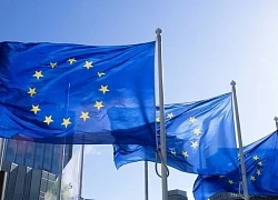 EU đưa ra 'cành ô liu' tạm thời cho ông Trump về thương mại