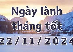 Ngày 22/11/2024 là ngày tốt có thể làm các việc như khai trương, mở cửa hàng, giao dịch, ký hợp đồng