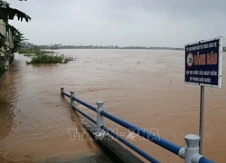 Quảng Ngãi: Lũ trên sông Trà Câu vượt mức báo động 3, cảnh báo ngập lụt nhiều vùng trong đêm