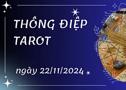 Thông điệp Tarot ngày 22/11/2024 cho 12 cung hoàng đạo: Song Tử bốc lá The Tower ngược, Song Ngư bốc lá The Strength