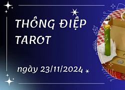 Thông điệp Tarot ngày 23/11/2024 cho 12 cung hoàng đạo: Kim Ngưu bốc lá The Devil, Sư Tử bốc lá The Lovers ngược