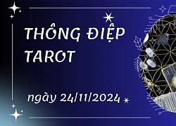 Thông điệp Tarot ngày 24/11/2024 cho 12 cung hoàng đạo: Bạch Dương bốc lá Five of Swords, Xử Nữ bốc lá The Moon