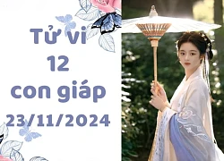 Tử vi 12 con giáp thứ 7 ngày 23/11/2024: Tý bứt phá, Tỵ cẩn trọng