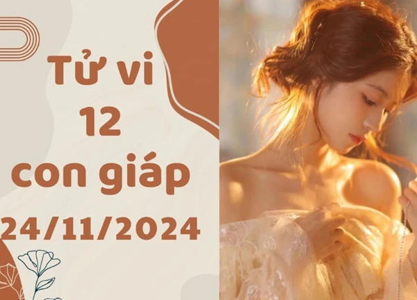 Tử vi hằng ngày - Xem tử vi vui 12 con giáp ngày 24/11/2024