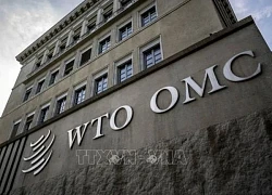 WTO: Tác động kép của AI đối với thương mại toàn cầu