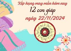 Xếp hạng may mắn ngày mới của 12 con giáp ngày 22/11/2024: Tuổ.i Tỵ cực may mắn