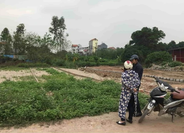 Truy nã 'cò đất' làm giả giấy tờ để rao bán đất