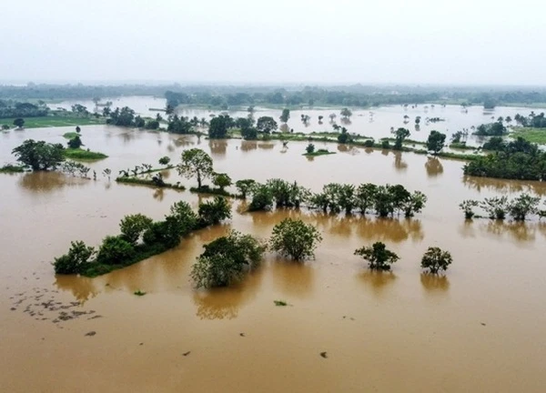 Bão Fengal gây mưa lũ nghiêm trọng, nhiều người thiệt mạng tại Ấn Độ và Sri Lanka