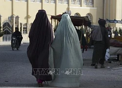 Taliban cấm các tổ chức phi chính phủ tuyển dụng phụ nữ tại Afghanistan