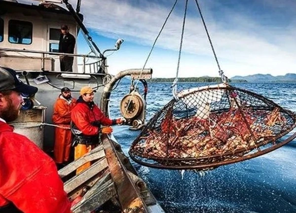 Thông tin hiếm ai biết về nghề nguy hiểm nhất thế giới, thu nhập lên đến 13 tỷ trong vòng hơn 1 ngày