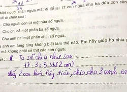 Bài toán "chia đều 17 con ngựa cho 3 người" gây bão mạng