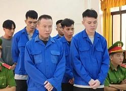 Mang súng đi 'quậy' trường gà ở Phú Quốc, 7 bị cáo lãnh án tù