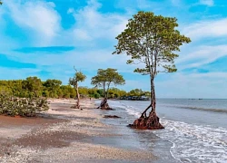 Về Tiề.n Giang ngắm bình minh trên biển Tân Thành