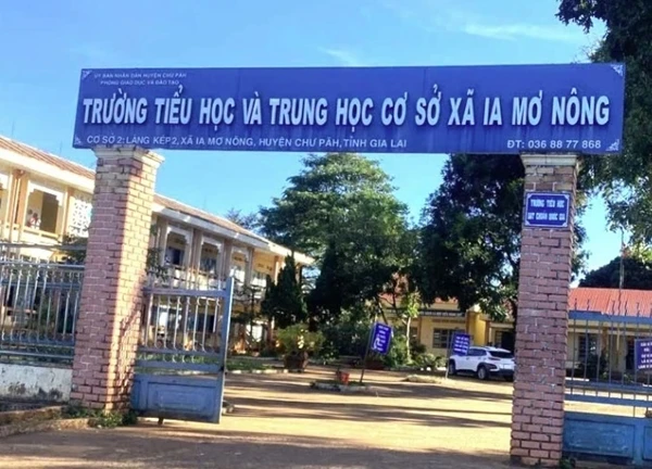 Hiệu trưởng lập khống hồ sơ, bán cây xanh, cho dạy thay chỉ bị yêu cầu "nghiêm khắc tự kiểm điểm"