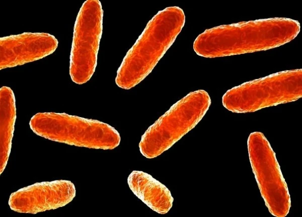 Mexico: Thêm nhiều trẻ em tử vong do nhiễm vi khuẩn Klebsiella oxytoca