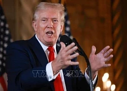 Tổng thống đắc cử Mỹ Donald Trump ưu tiên giải quyết khủng hoảng tại Ukraine