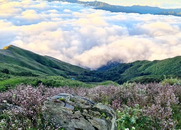 Việt Nam có "nóc nhà" trên độ cao 2860m, đứng trên biển mây "thả cần câu trọn núi non tuyệt mỹ"