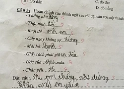 "Bê" mẹ và anh trai vào bài tập đặt câu, học sinh tiểu học tạo nên thành quả khiến ai nấy cười ná thở