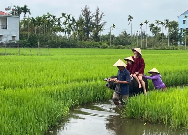 Kỳ diệu du lịch nông nghiệp: Làng quê Việt Nam là kho báu triệu đô