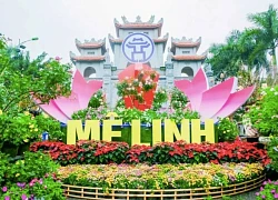 Ca sĩ Hòa Minzy, Đức Phúc sẽ biểu diễn tại Festival hoa Mê Linh