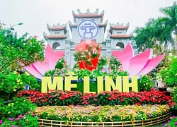 Sắp diễn ra lễ hội hoa lớn nhất miền Bắc