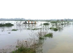 Lật ghe trên sông Đầm lúc rạng sáng, 2 mẹ con tử vong