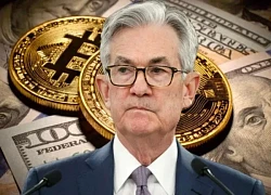 Bitcoin rơi tự do vì tuyên bố của Fed