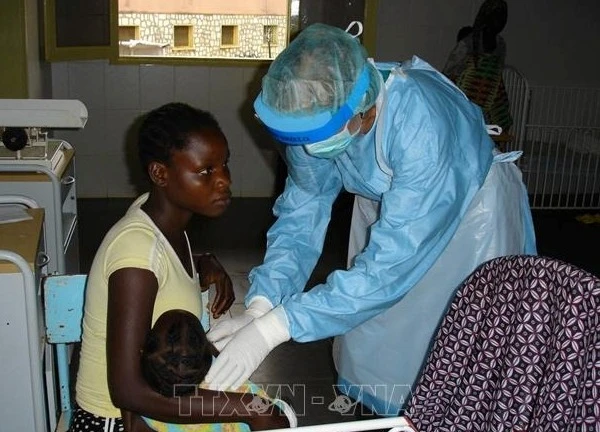 Rwanda tuyên bố kết thúc đợt bùng phát virus Marburg