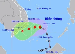 Bão số 10 mạnh cấp 8, từ Phú Yên đến Cà Mau sẵn sàng ứng phó