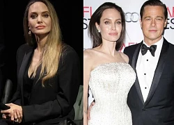 Angelina Jolie bị chồng cũ hại, lộ nghề dự phòng 'nổi da gà', chuyện gì đây?