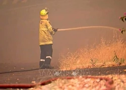 'Giặc lửa' thiêu rụi 74.000 ha rừng tại Australia