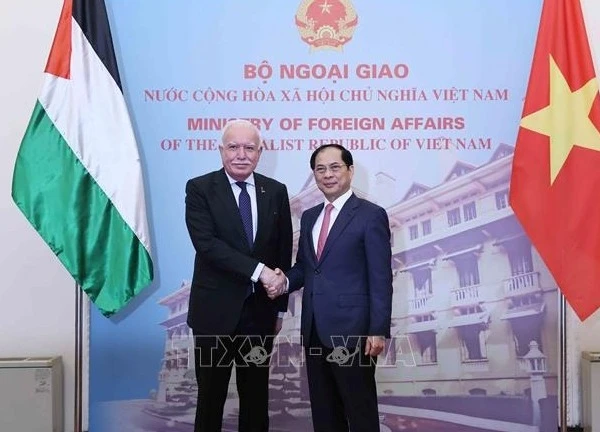 Phó Thủ tướng Bùi Thanh Sơn tiếp Đặc phái viên của Tổng thống Palestine