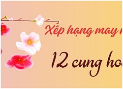 Tử vi vui 12 cung hoàng đạo ngày 2/2: Kim Ngưu thuận lợi, Bọ Cạp cần lắng nghe