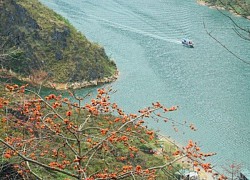 Du lịch Hà Giang: Vẻ thơ mộng của sông Nho Quế mùa hoa gạo