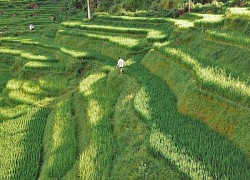 Những địa điểm 'sống ảo' ở Việt Nam đẹp không kém trời Tây