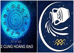 Tử vi vui 12 cung hoàng đạo ngày 1/2: Bạch Dương cần xác định rõ mục tiêu của mình trước khi hành động