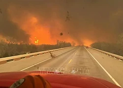 Cháy rừng lan rộng ở Texas, nhà máy vũ khí hạt nhân phải tạm đóng cửa