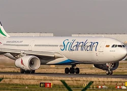 Chuột gây sự cố hi hữu cho máy bay của SriLankan Airlines