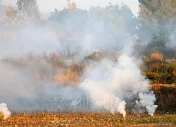 Hezbollah tiếp tục tấn công bằng tên lửa vào căn cứ của Israel