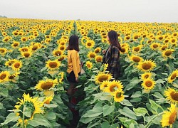 Về Nghệ An trải nghiệm những điều khác biệt