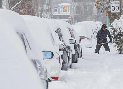 Canada: Bão tuyết bao trùm miền Đông, nhiều trường học và công sở phải đóng cửa